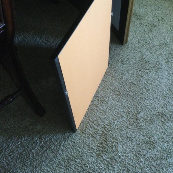 1pc 16x20Frame 12x18 inch Christian Dove Holy Spirit Creation Religious Bird Art - Picture 4 of 5